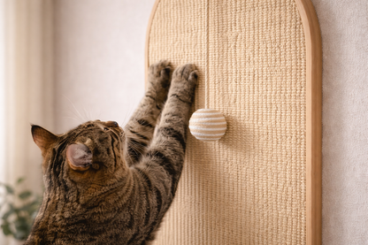 Griffoir mural ARCHE