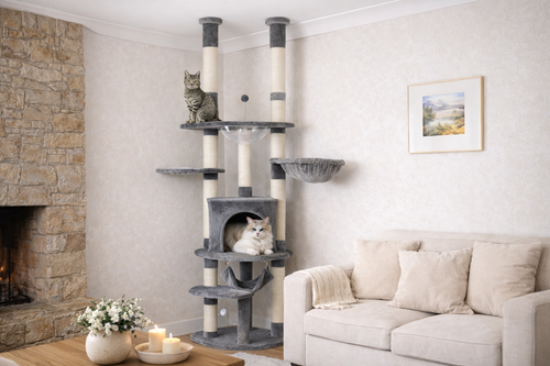 arbre à chat sol plafond gris avec plateformes et chats dans salon cosy avec cheminée