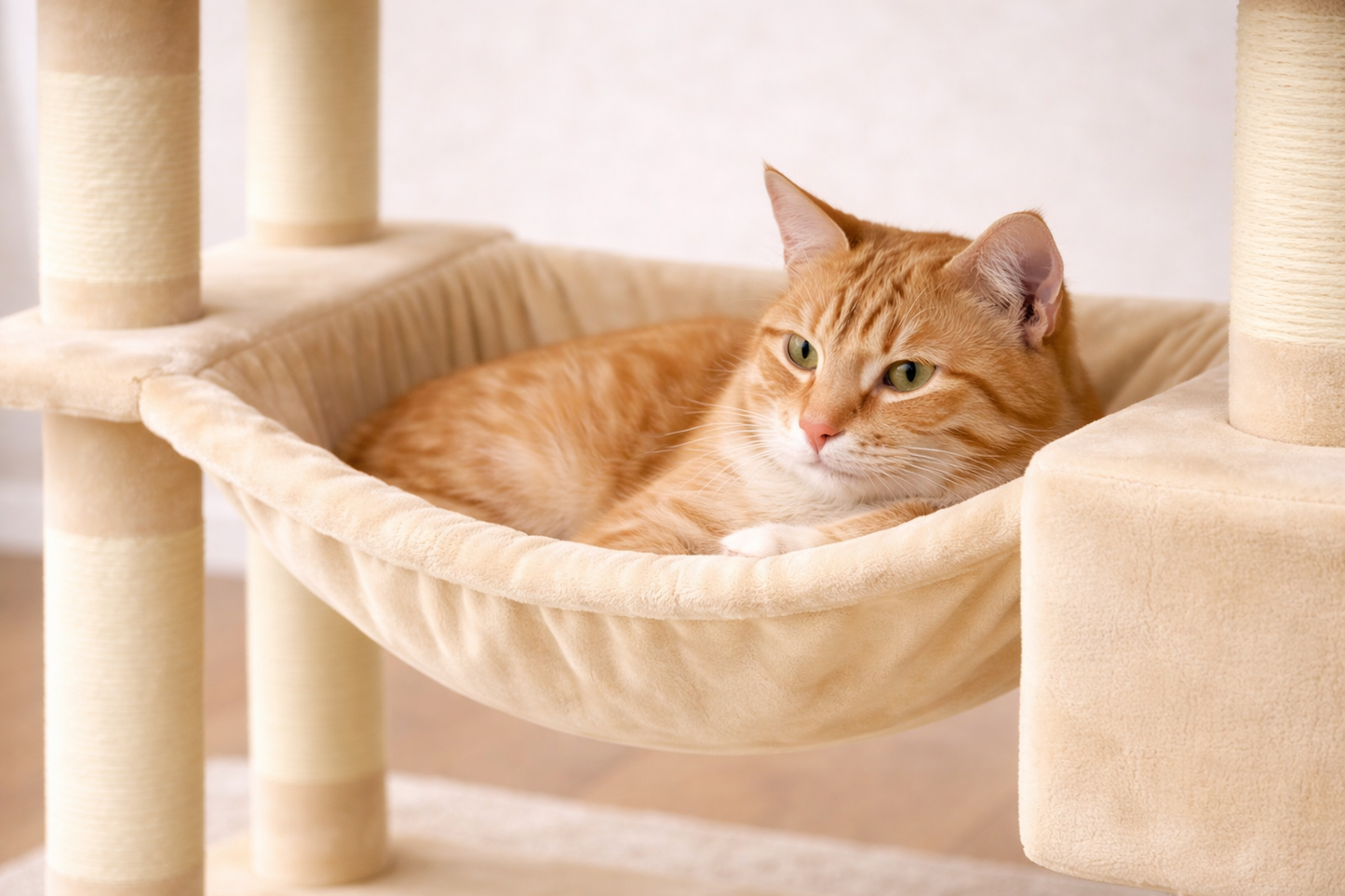 chat allongé dans hamac d’arbre à chat beige confortable et doux