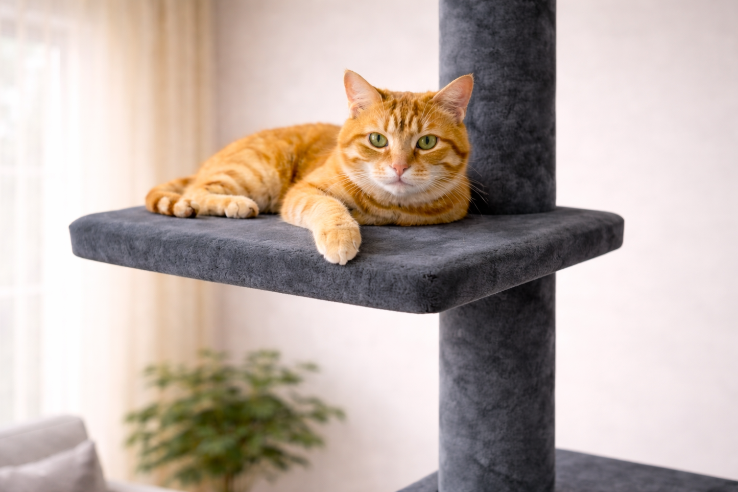 chat allongé sur plateforme d’arbre à chat gris stable et confortable avec poteau central