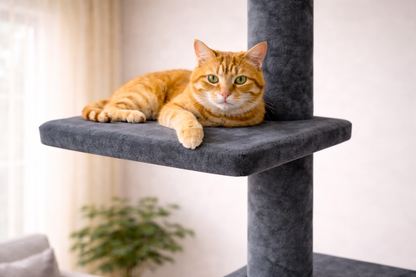 chat allongé sur plateforme d’arbre à chat gris stable et confortable avec poteau central