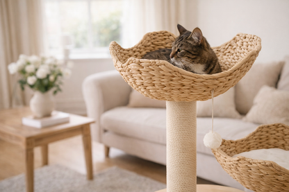 arbre à chat CÉLESTE 100 cm — niches en rotin tressé ultra confort, couchage aérien enveloppant et design naturel qui sublime votre intérieur tout en offrant à votre chat un véritable cocon de sérénité