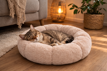 Coussin pour chat LUMA en peluche douce avec rebords enveloppants, idéal pour un sommeil profond et apaisé