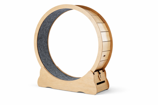 Roue d’exercice pour chat CIRCA en bois design, idéale pour permettre à votre chat de se dépenser en intérieur