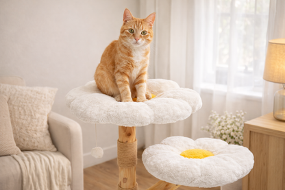Chat roux assis sur arbre à chat SOHO en bois naturel avec plateformes en forme de fleur dans un salon lumineux